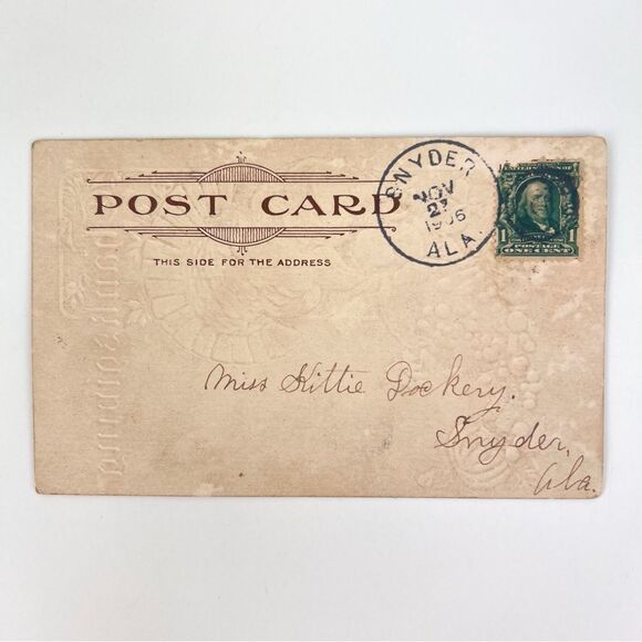 Vintage 1900s THANKSGIVING Postcard White Turkey / Baby with Horn O' Plenty - Picture 2 of 4